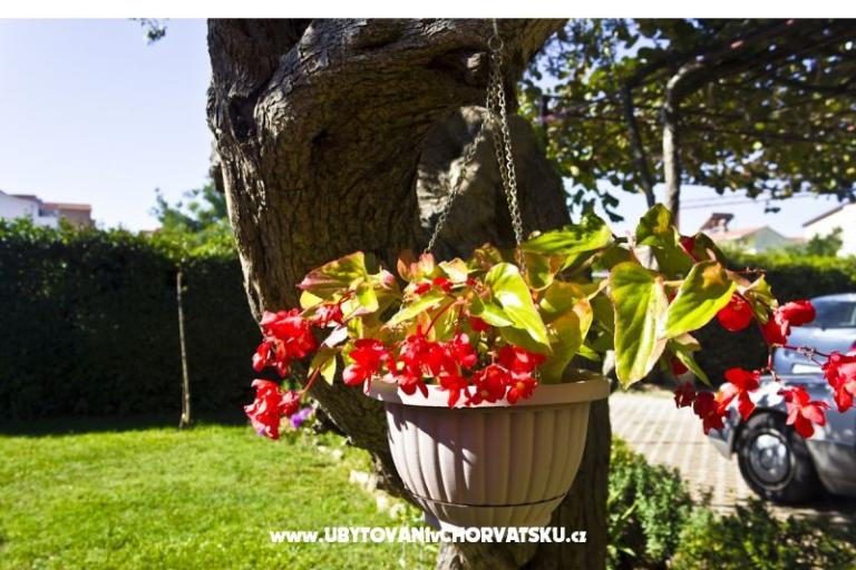 Appartments Viktor – photo 10