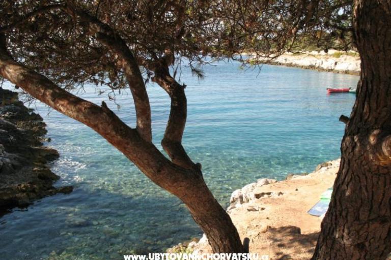 Breathtaking sea view – photo 12