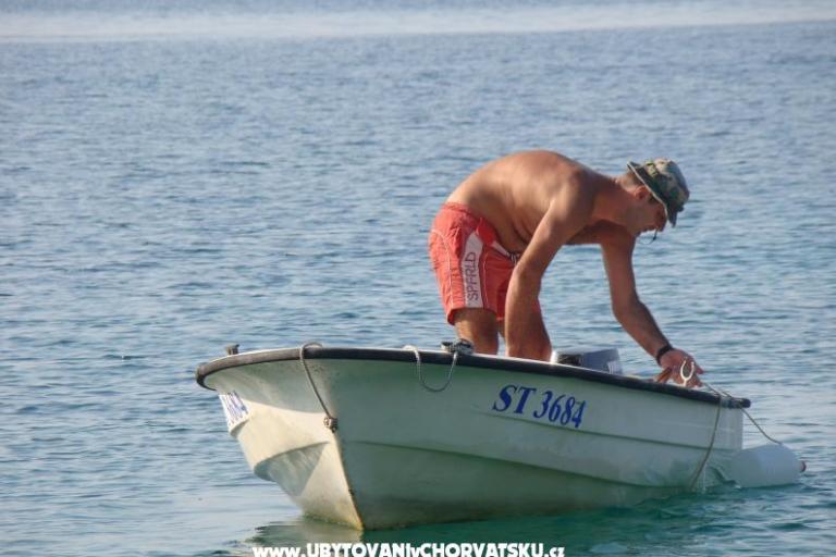 House Two Cypresses – photo 4