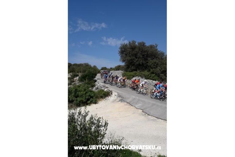 House Zvonimir – photo 15