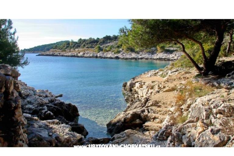 Apartments Iva – photo 13