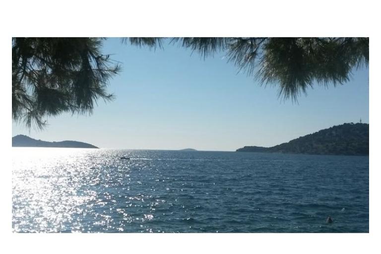 Mala Villa Jadranka – photo 9