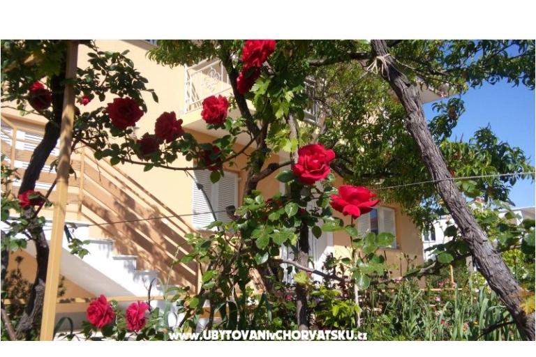 Matanovi dvori – photo 4