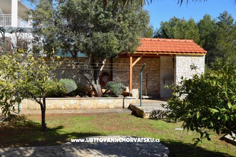 Oliva Ražanj – photo 3