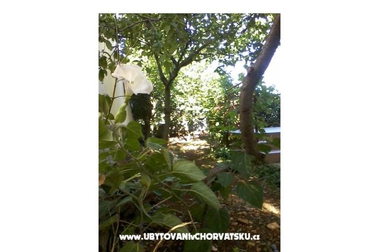 Ružica apartments Rogoznica – photo 11