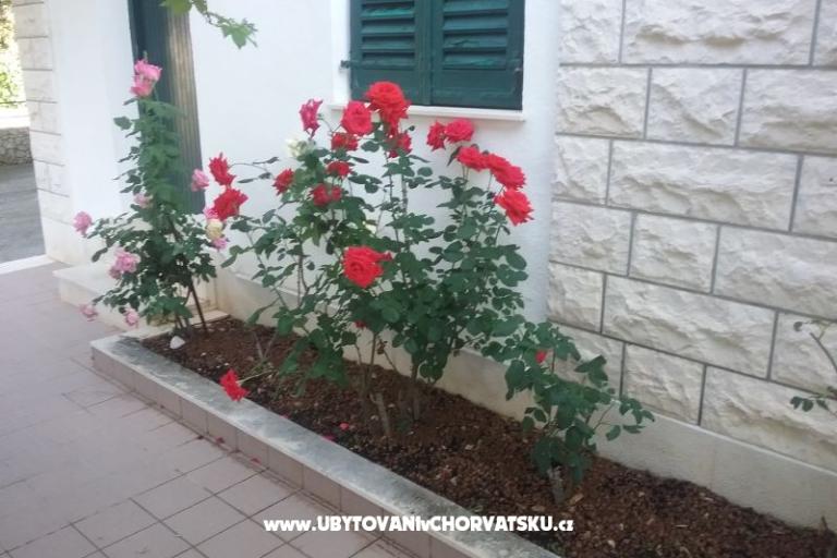 Santa Chiara Apartments – photo 12