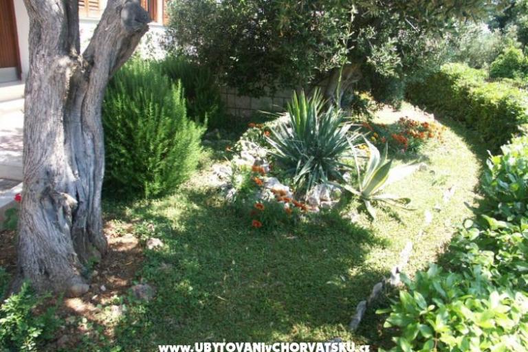 Santa Chiara Apartments – photo 5