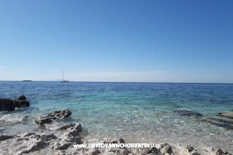 SEA YA – photo 8