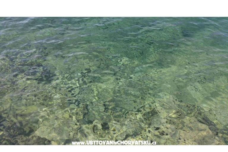 Vera Apartment – photo 15