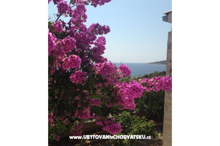 Vesna apartmani – photo 10