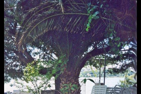 Villa Milmar – photo 3