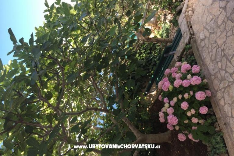 Vinka apartments DIREKT NA PLAŽI – photo 12