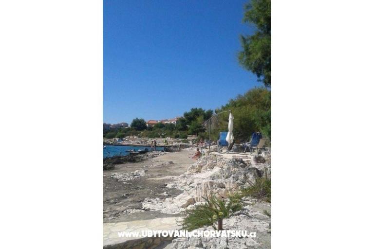VIVA Lozica – photo 10
