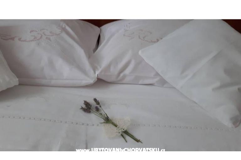 VIVA Lozica – photo 14