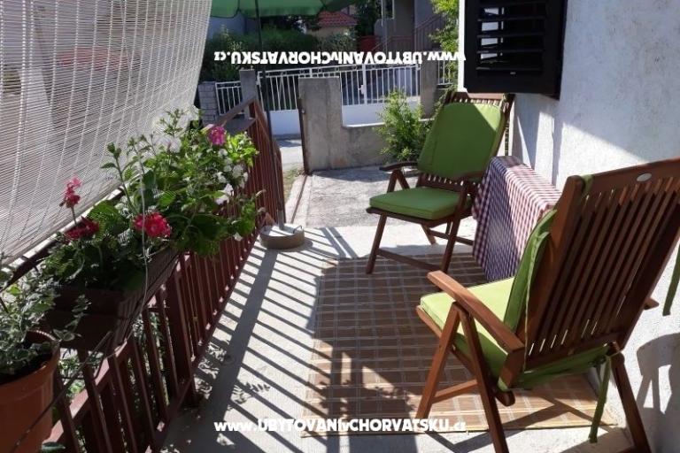 VIVA Lozica – photo 18