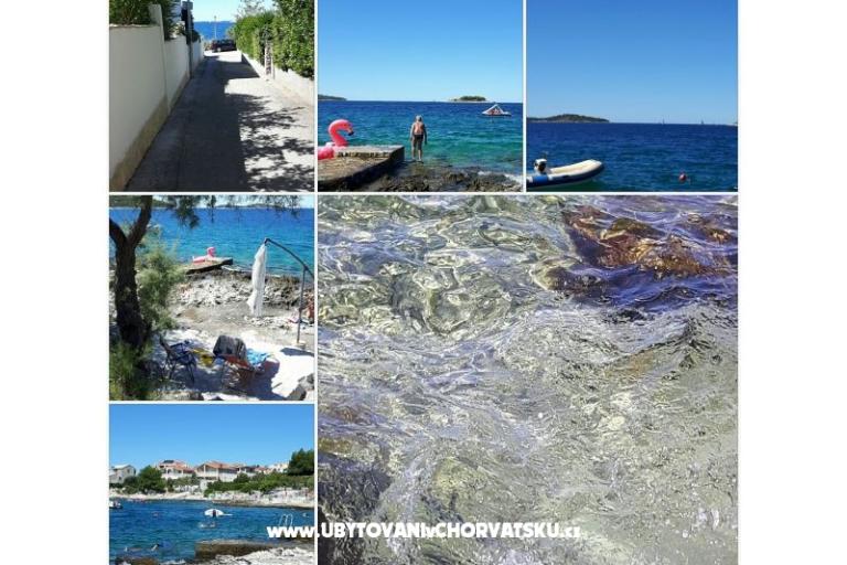 VIVA Lozica – photo 4