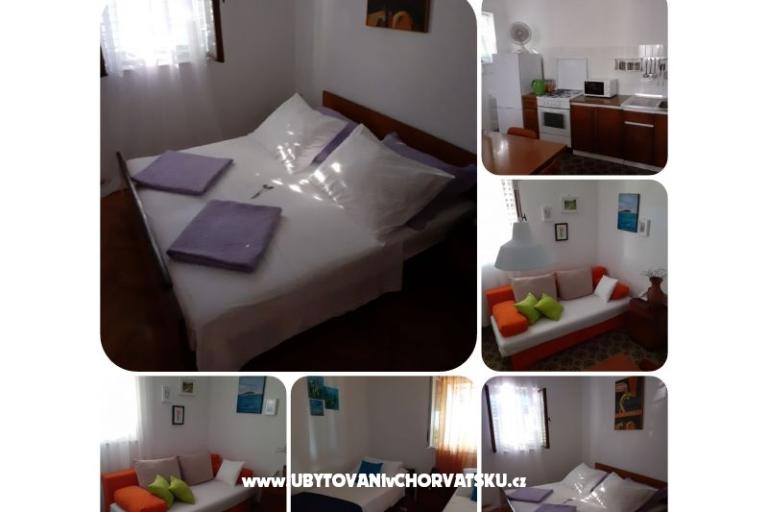 VIVA Lozica – photo 5