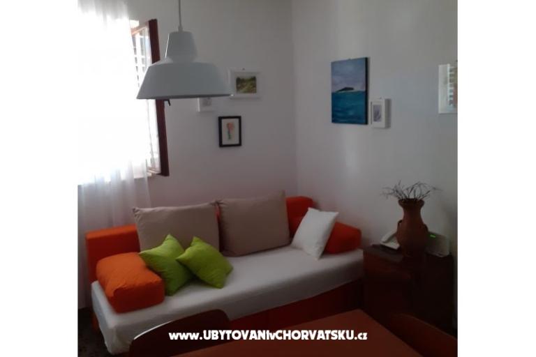 VIVA Lozica – photo 6