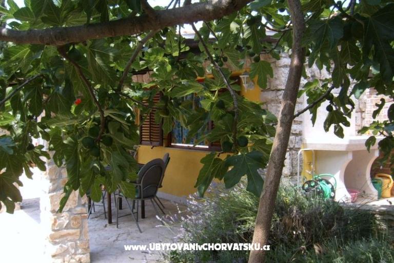 Apartments Morena – photo 6