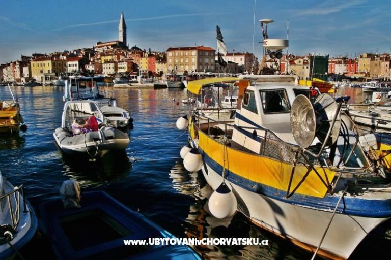 Apartment Rabak – photo 10