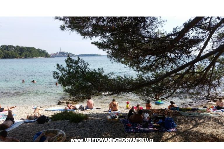 Apartments Ana – photo 18