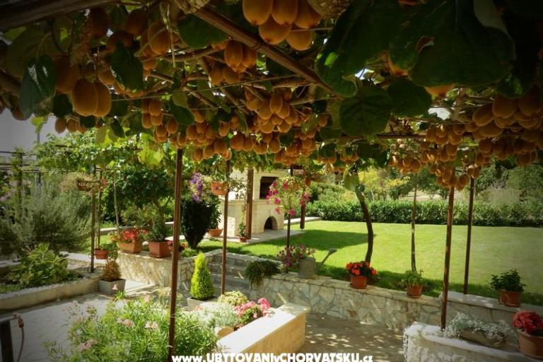 Apartments Fantazija – photo 12