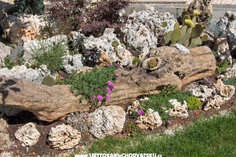 Apartments Fantazija – photo 13