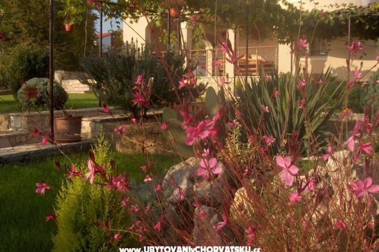 Apartments Fantazija – photo 14