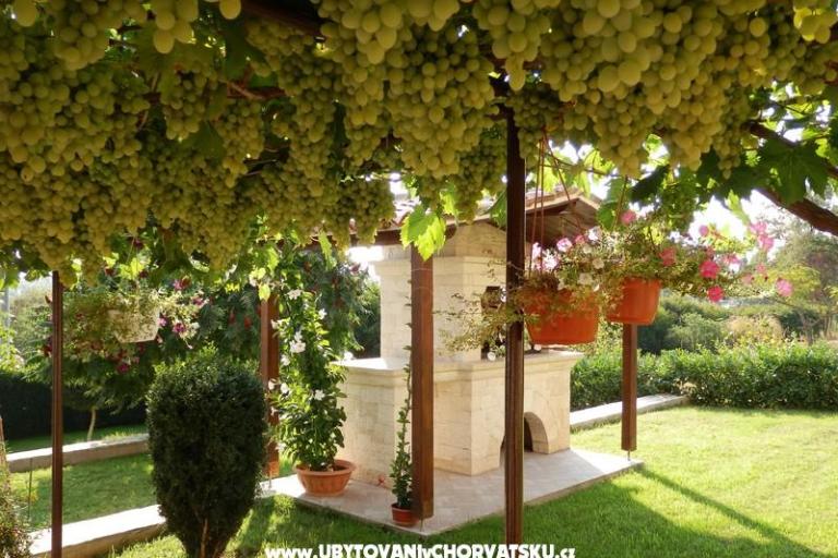 Apartments Fantazija – photo 4