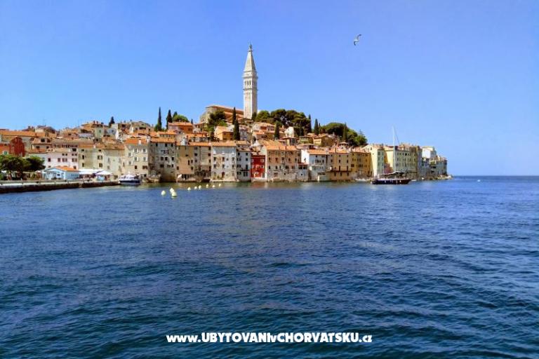 Apartments i Rooms Markovic – photo 11