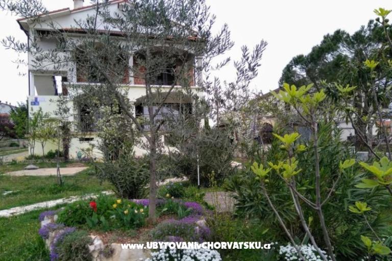 Apartments i Rooms Markovic – photo 6