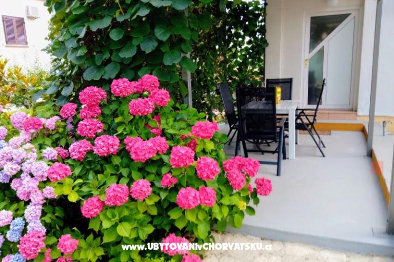 Apartments i Rooms Markovic – photo 9