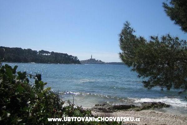 Apartments Kump – photo 17