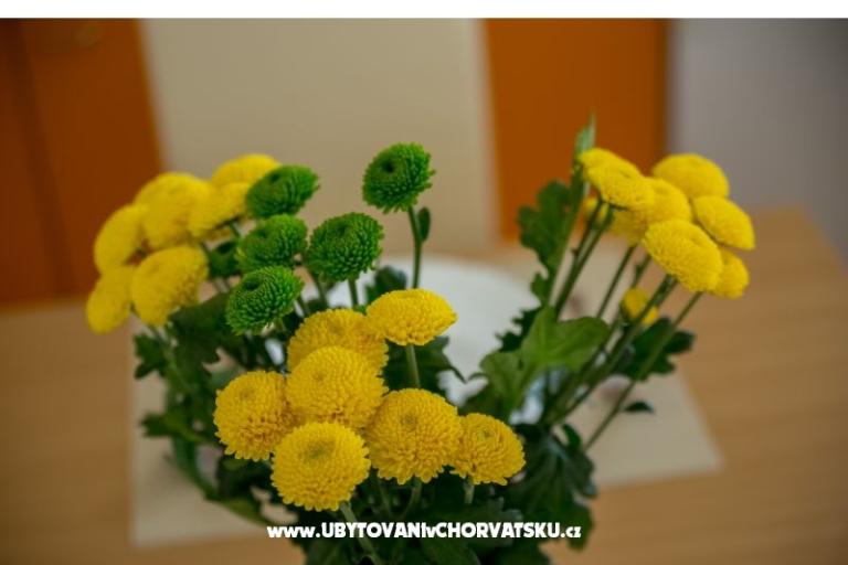 Apartments Nada – photo 15