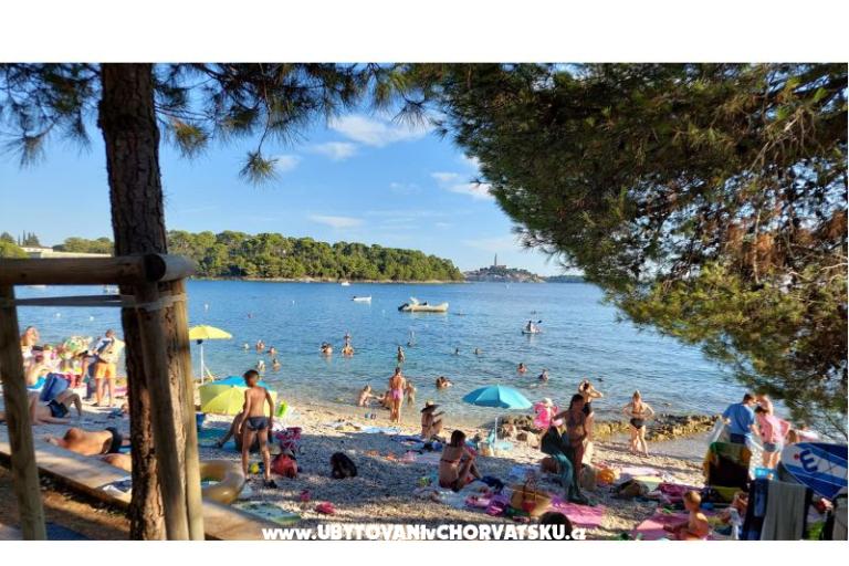 Apartments Samsa – photo 12