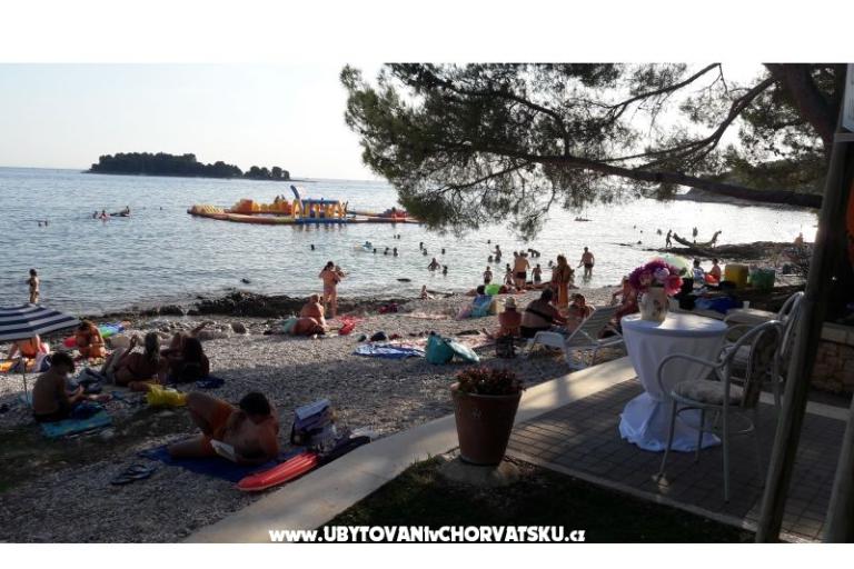 Apartments Samsa – photo 17