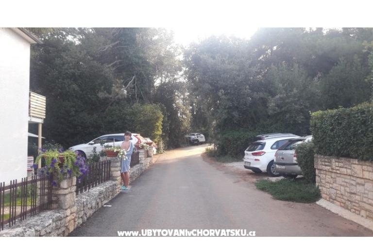 Apartments Samsa – photo 20