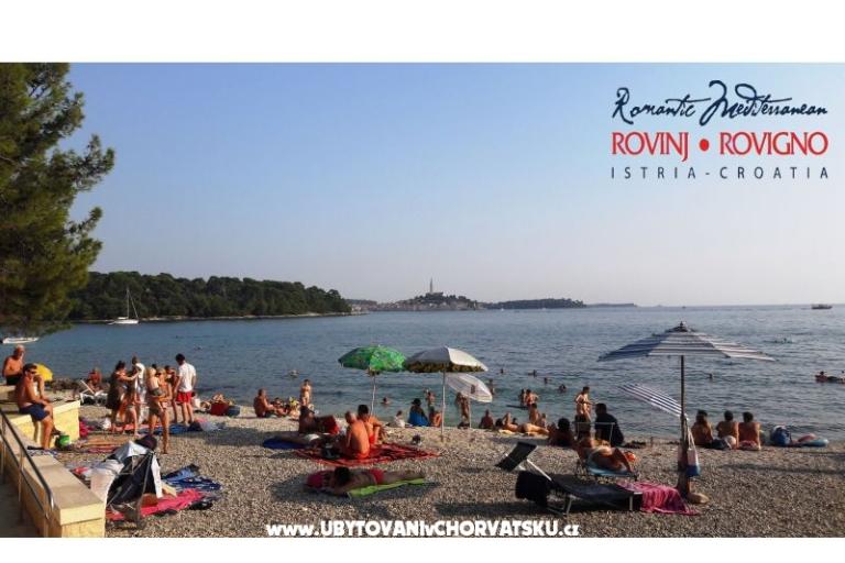 Apartments Samsa – photo 9