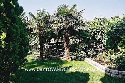 Apartments BOS-KO – photo 3