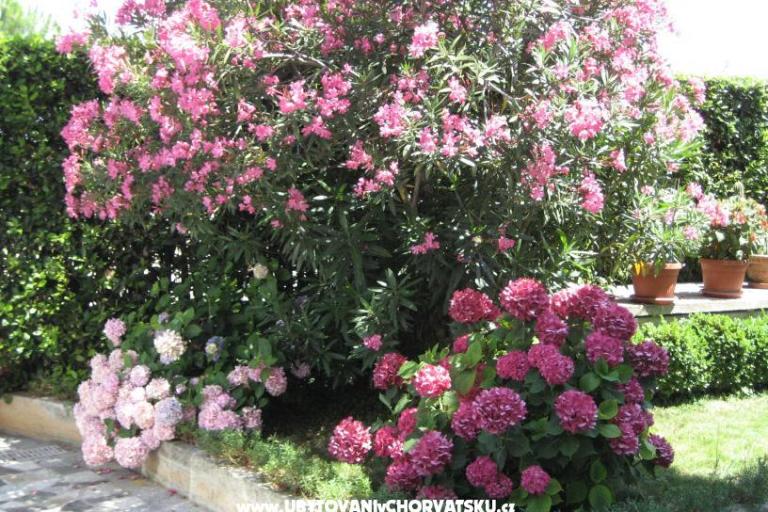 Apartments Ida &amp; Sandra – photo 2