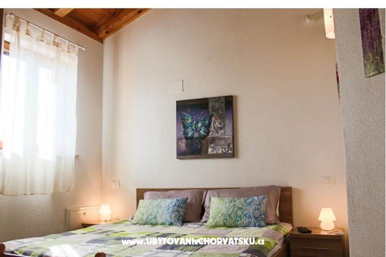 Arton Vila – photo 14