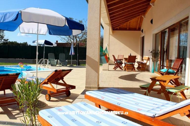 Arton Vila – photo 3