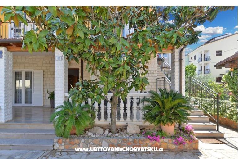 Mira 615 – photo 2