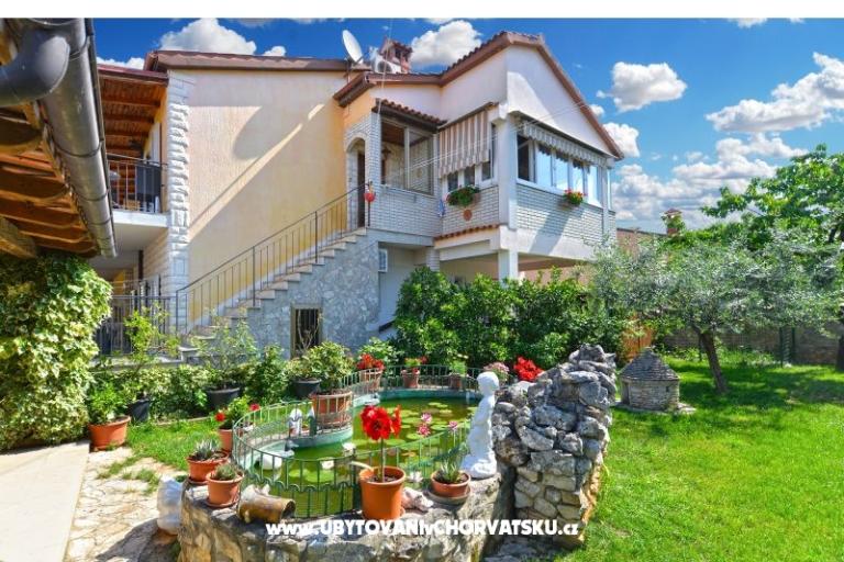 Mira 615 – photo 4