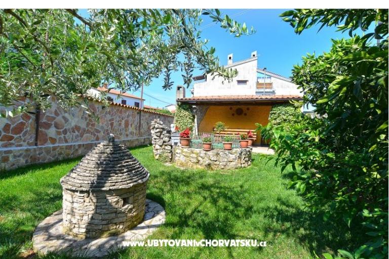 Mira 615 – photo 5