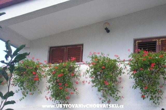 Vila Kristina – photo 6
