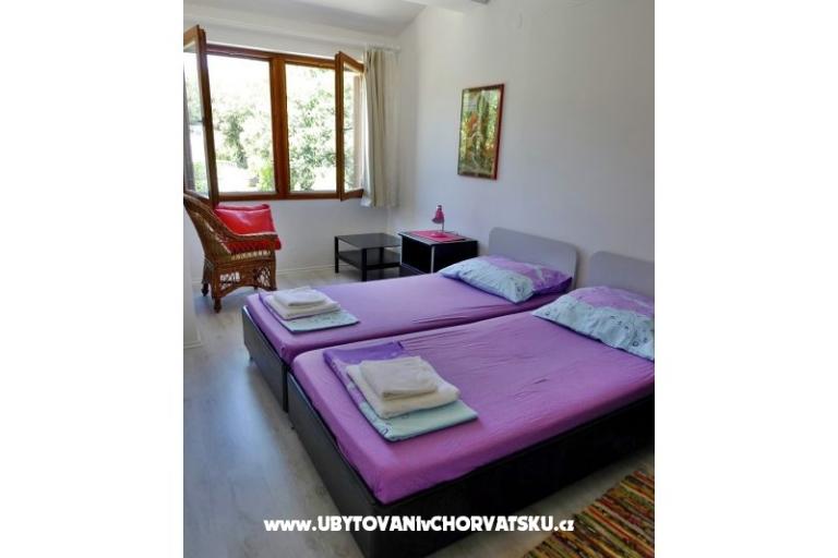 GREEN GARDEN &amp; BUENA VISTA  – photo 10