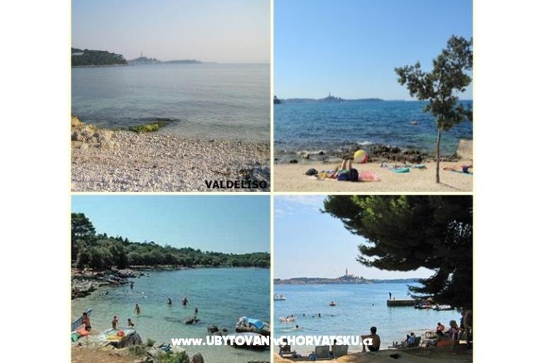 GREEN GARDEN &amp; BUENA VISTA  – photo 13