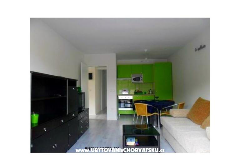 GREEN GARDEN &amp; BUENA VISTA  – photo 5