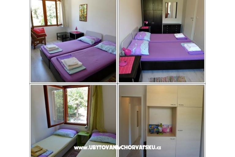 GREEN GARDEN &amp; BUENA VISTA  – photo 6